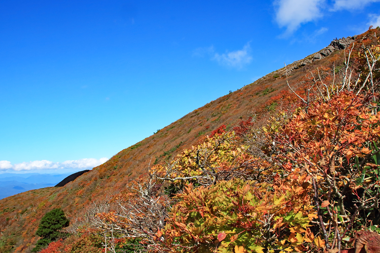 御所山