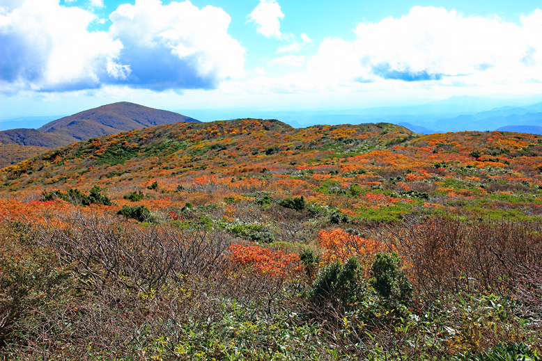 御所山