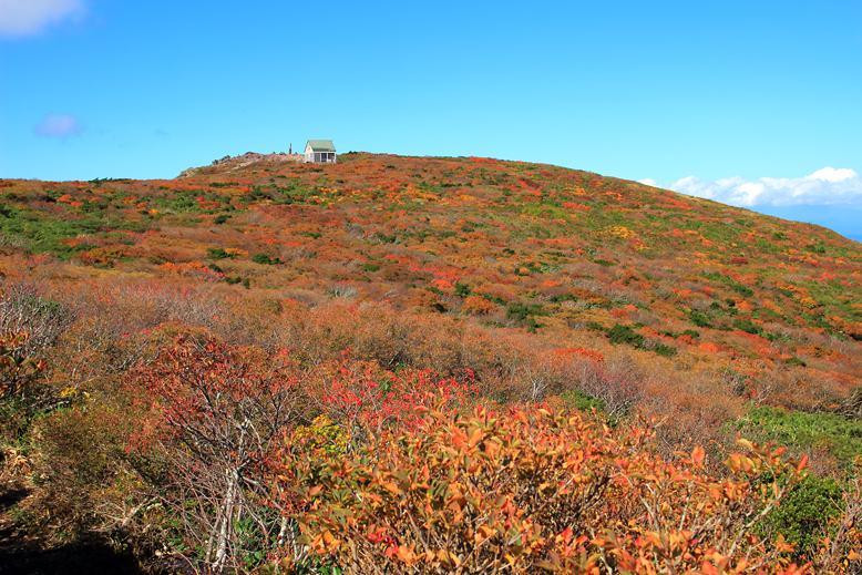 御所山