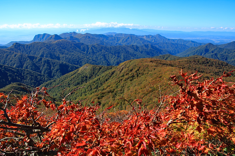 御所山