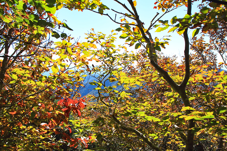 御所山