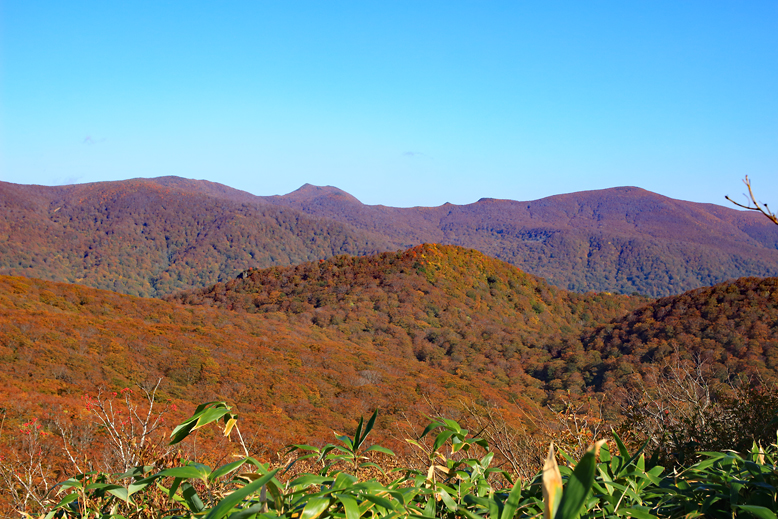 白髪山
