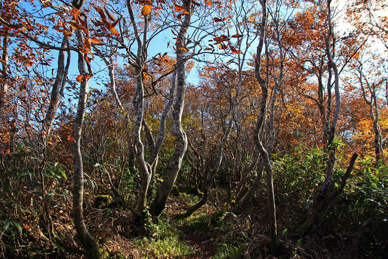 白髪山