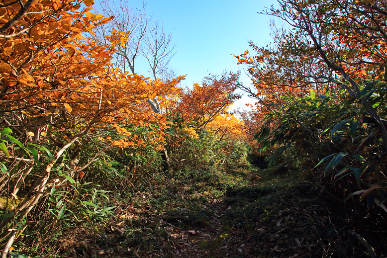 白髪山
