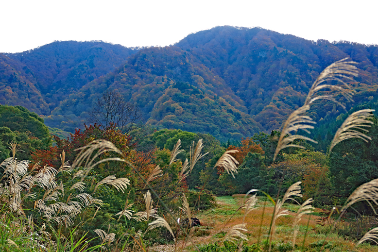 瀧山