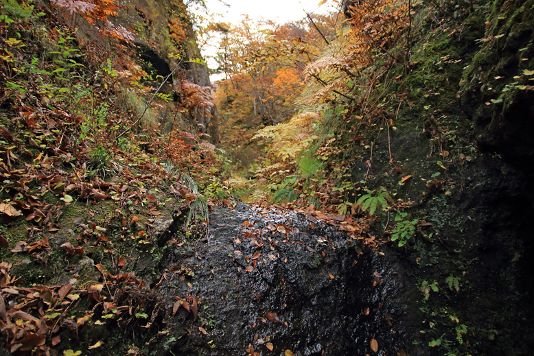 瀧山