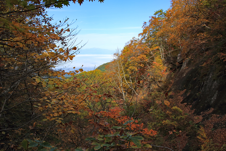 瀧山