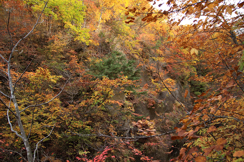 瀧山