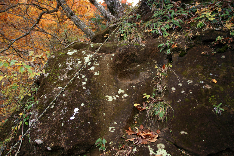 瀧山