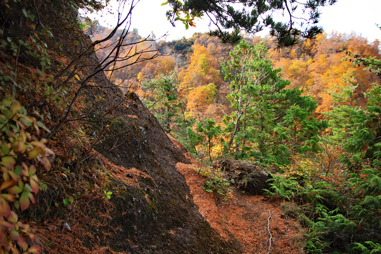 瀧山