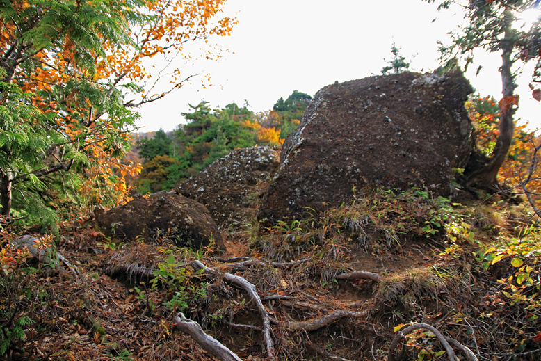 瀧山