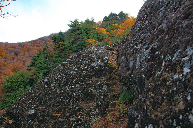 瀧山