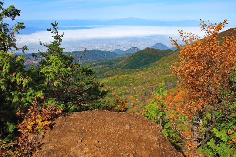 瀧山