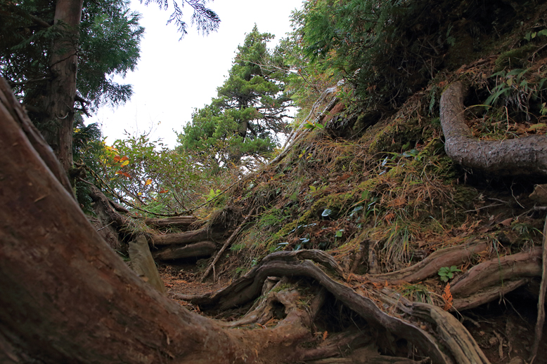瀧山