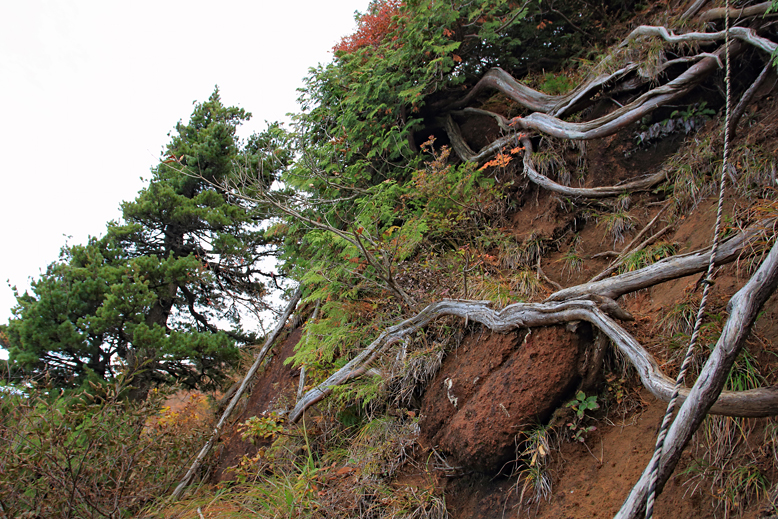 瀧山