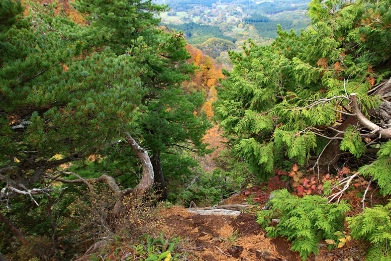 瀧山