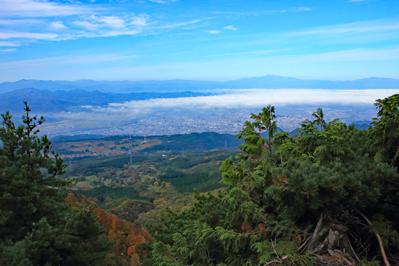 瀧山