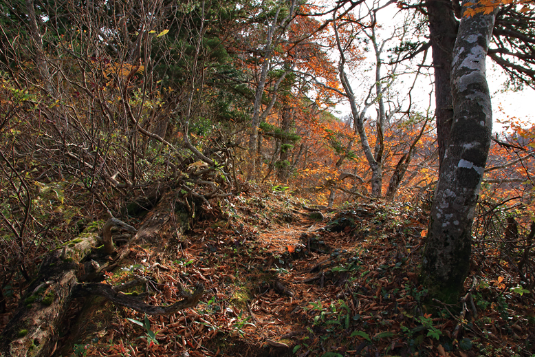 瀧山
