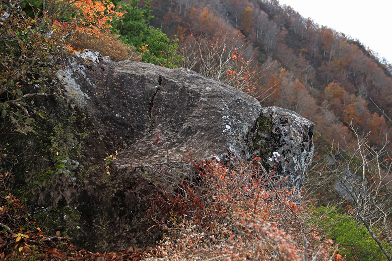 瀧山