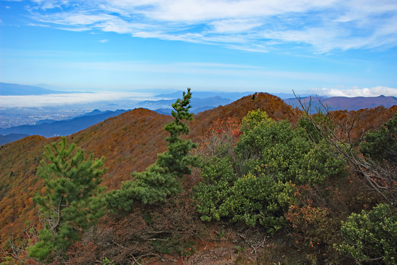 瀧山