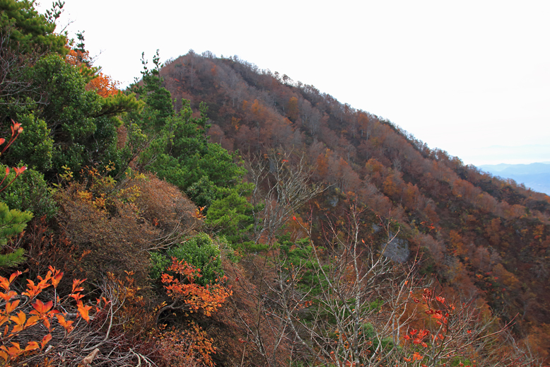 瀧山