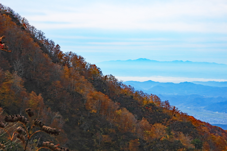 瀧山