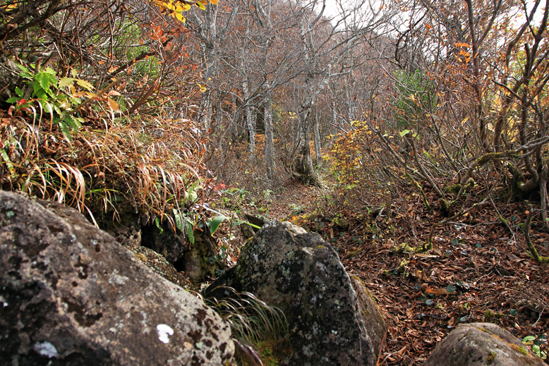 瀧山