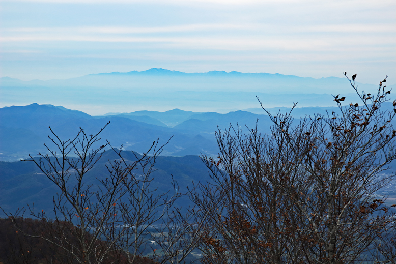 瀧山