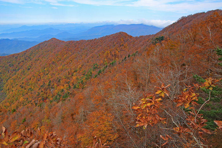 瀧山