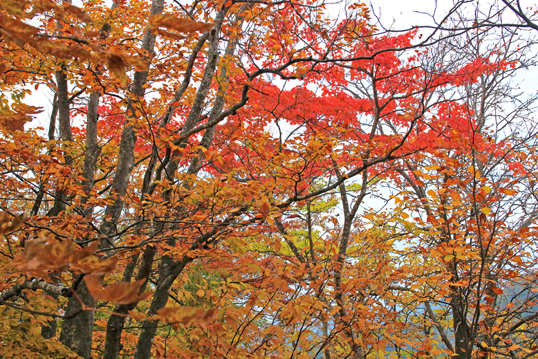 瀧山