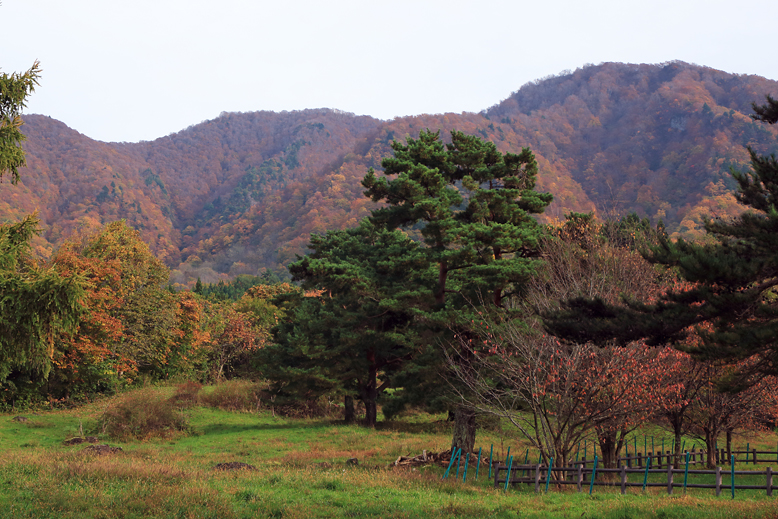 瀧山