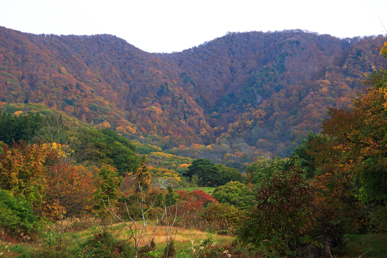 瀧山