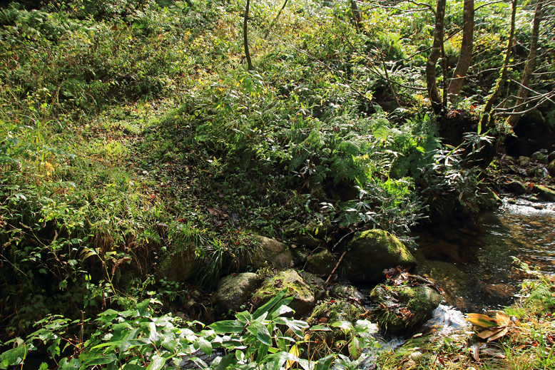 高畠駒ヶ岳