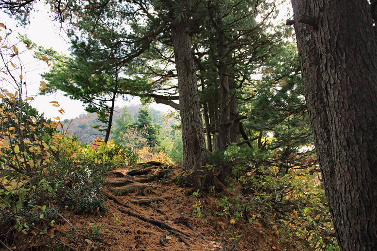 高畠駒ヶ岳