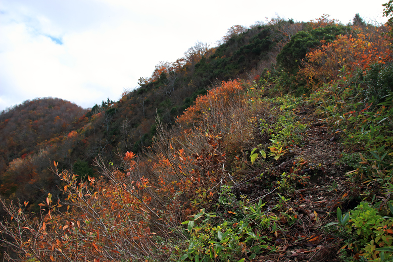 高畠駒ヶ岳