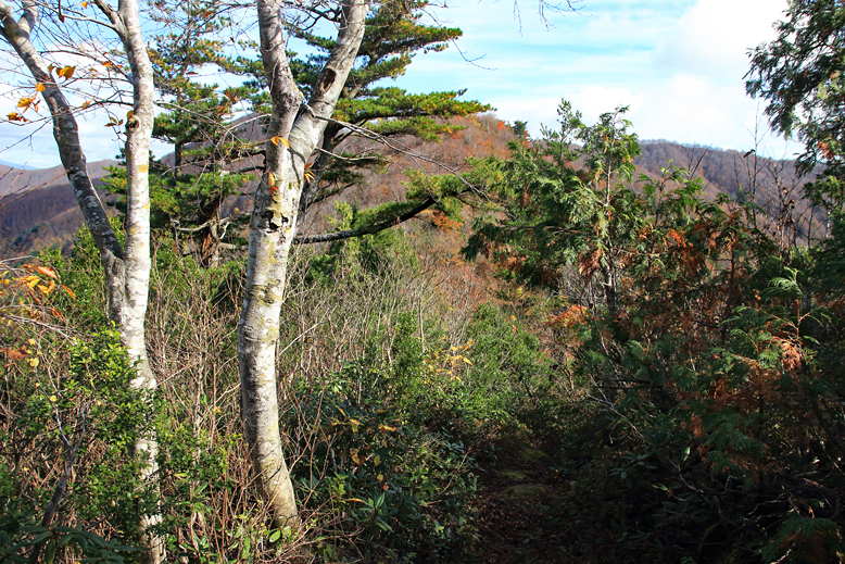 高畠駒ヶ岳