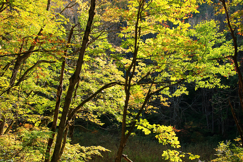 高畠駒ヶ岳