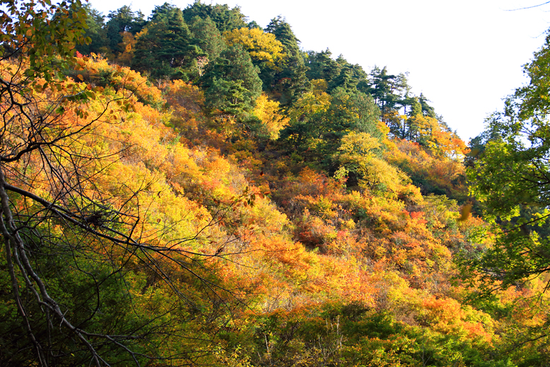 高畠駒ヶ岳