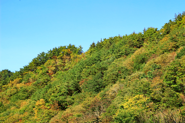 高畠駒ヶ岳
