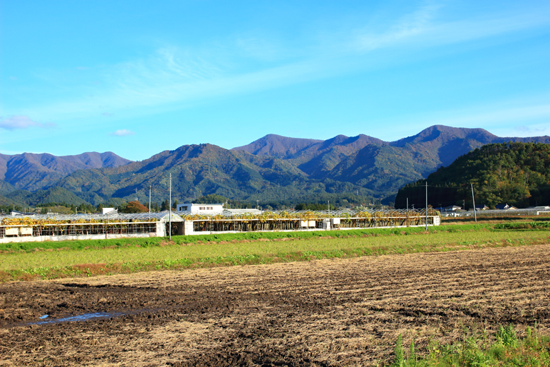 高畠駒ヶ岳