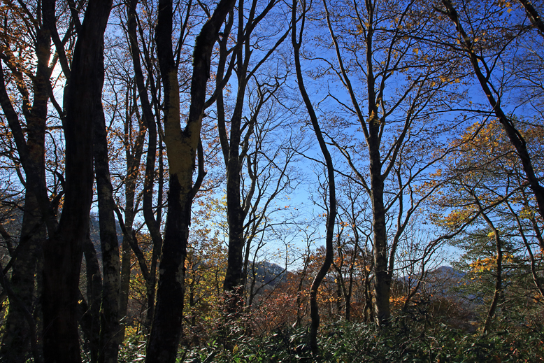 横川堰