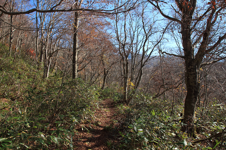 横川堰