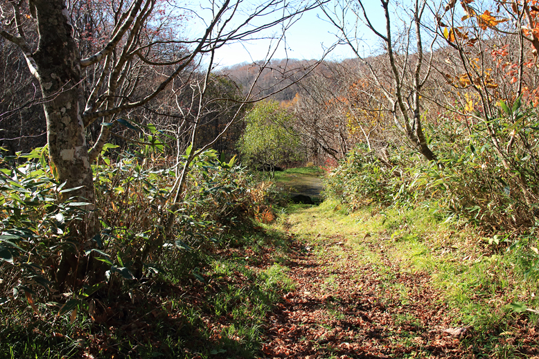 横川堰