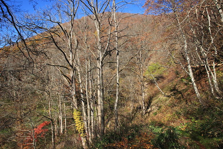 横川堰