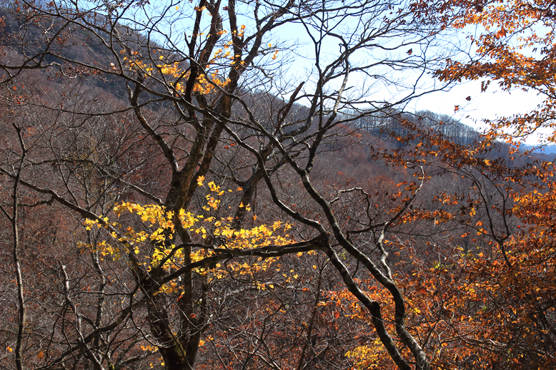 横川堰