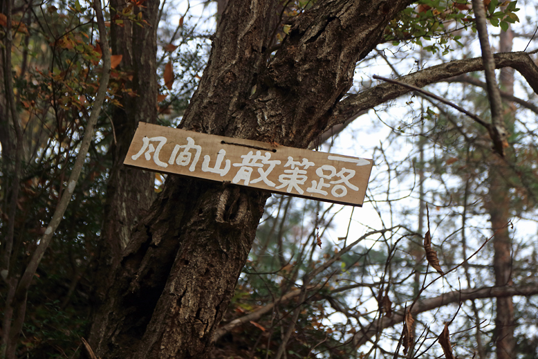 高楯地区里山