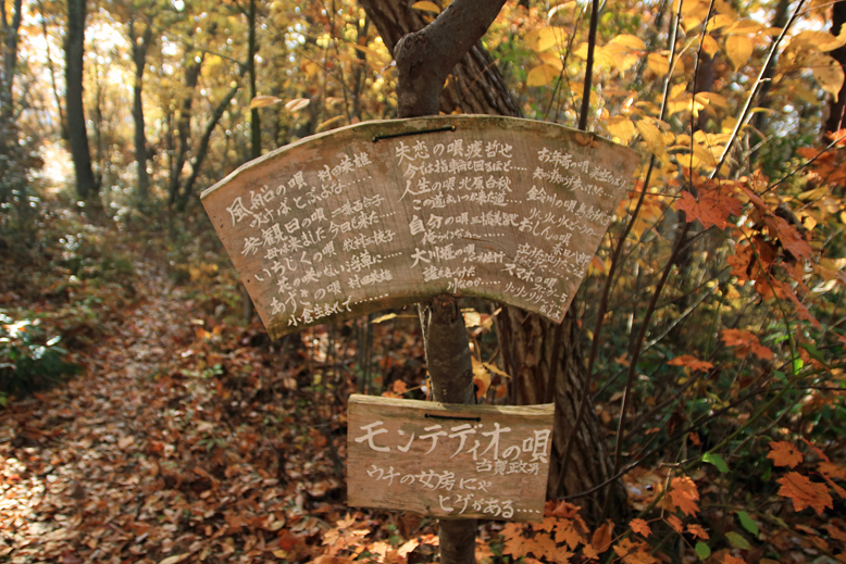 高楯地区里山