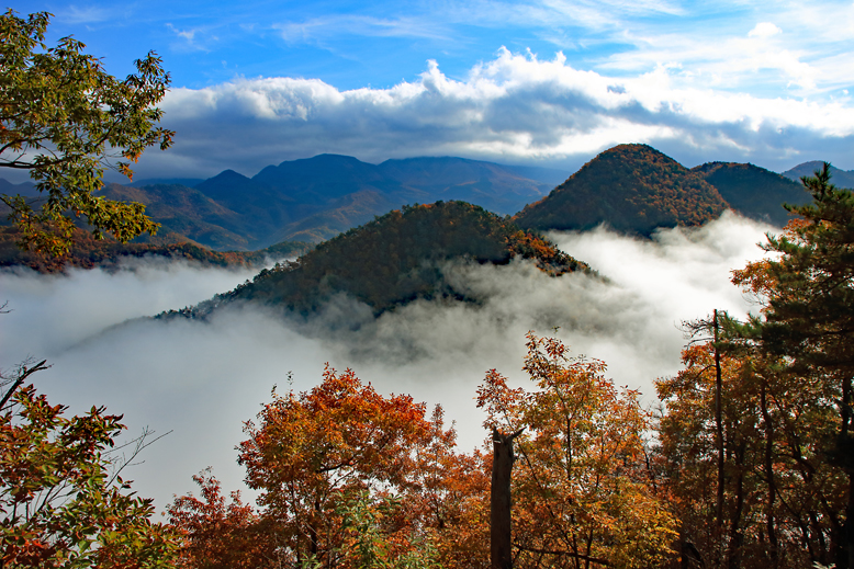 高楯地区里山