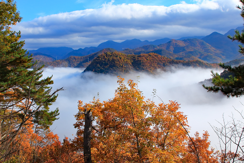 高楯地区里山
