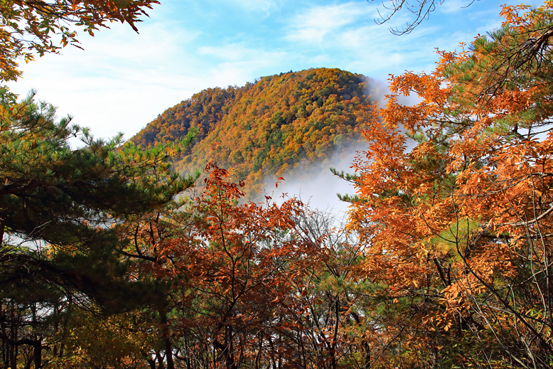 高楯地区里山